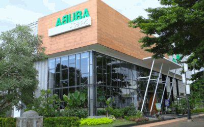 Abuba Steak: Rapid ERP Transformation for a Growing Restaurant Chain